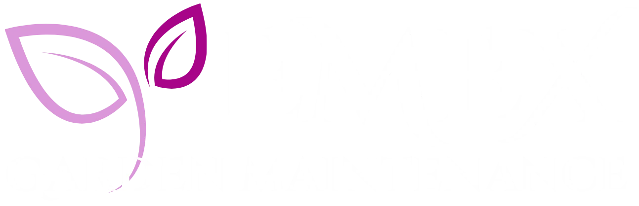 EMEX Garden Maintenance, London, N4 2XH